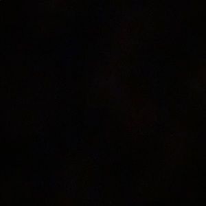 Meet your Posher, Charmaine